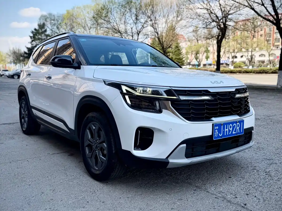 Kia Seltos 2023 1.5L CVT Luxury Edition фото 3