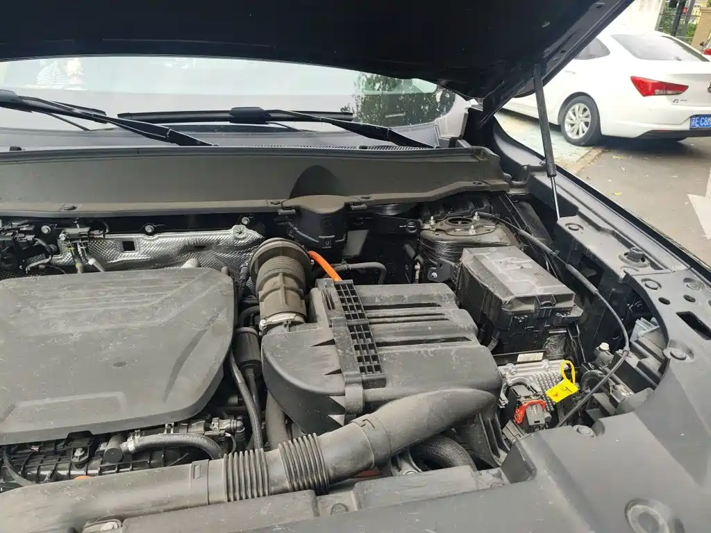 Haval Second-Generation Big Dog New Energy 2024 2023 DHT-PHEV 105km Trendy Electric Edition Plus