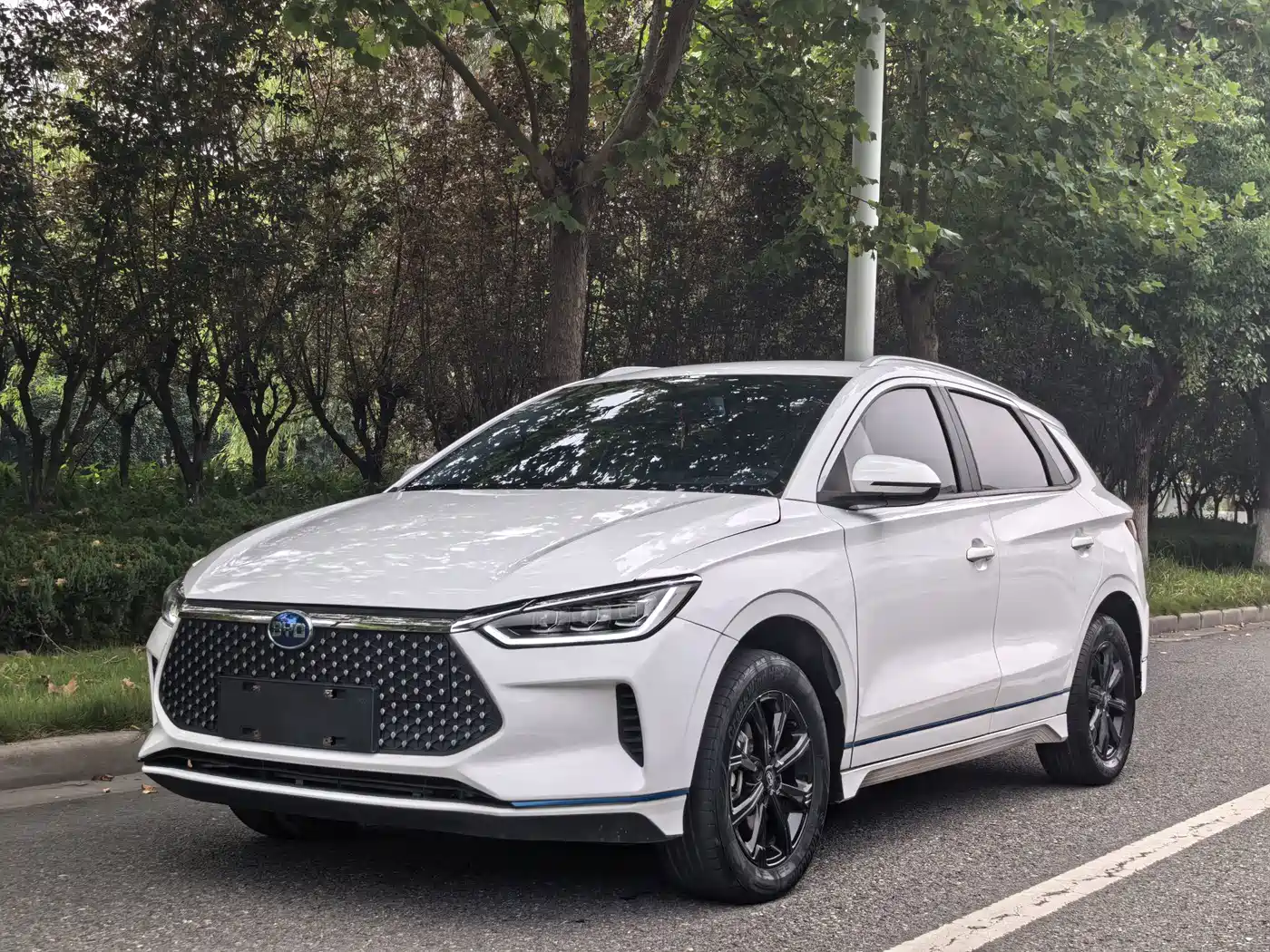 BYD e2 2021 2021 Luxury Edition