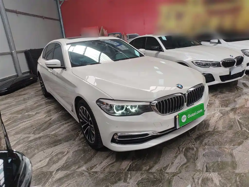 BMW 5 Series 2019 Facelift 530Li Leading Luxury Package фото 4
