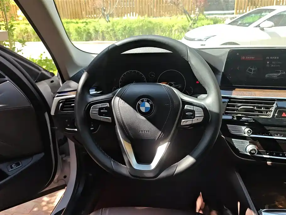BMW 5 Series 2019 525Li Luxury Package фото 15