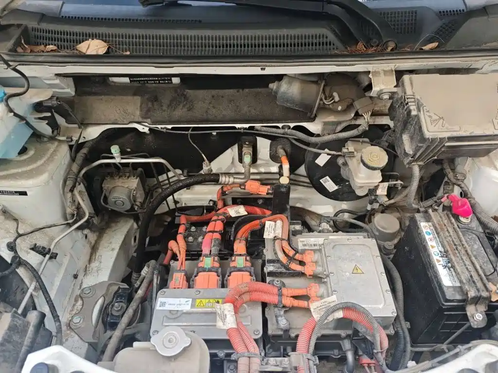 Dongfeng Yipai Dongfeng Nano EX1 2022 2021 Quality Action Edition