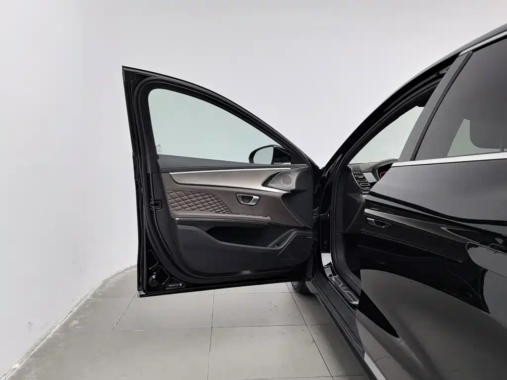 Фото 8 - BYD Han