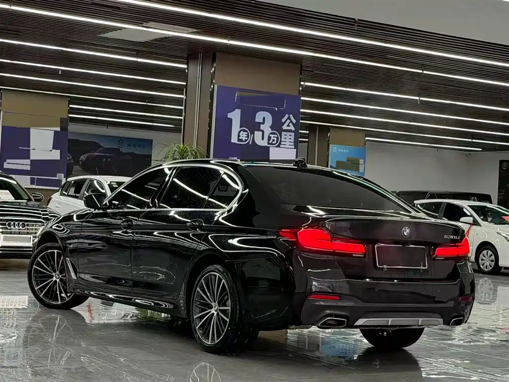 BMW 5 SERIES