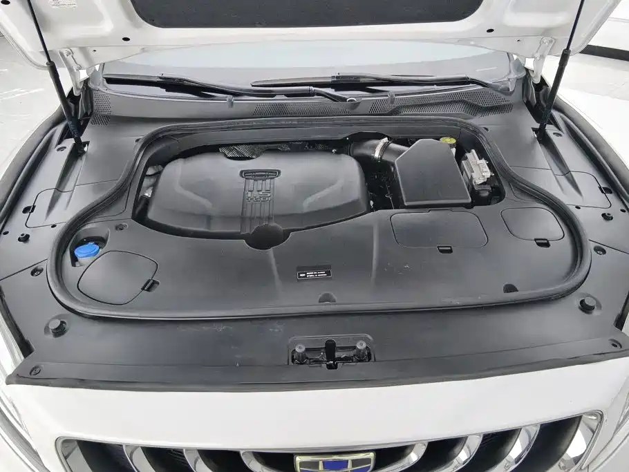 Geely Borui 2019 2018 1.5T MHEV Premium Edition