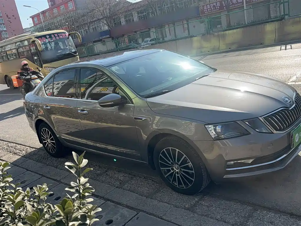 Škoda Octavia 2019 TSI230 DSG Luxury Edition фото 4