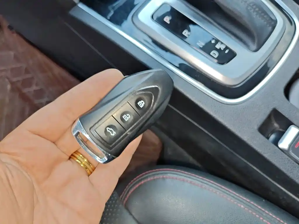 Leopaard CS10 2018 2017 Model 2.0T Automatic Luxury Edition