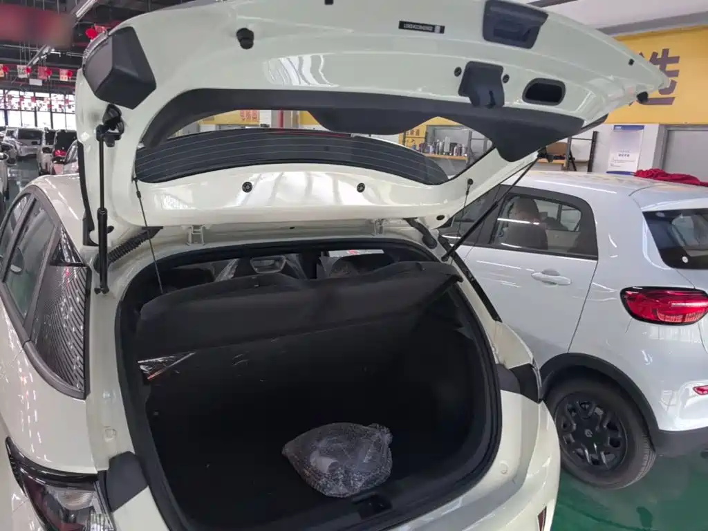 BYD Dolphin 2026 2025 420km Freedom Edition