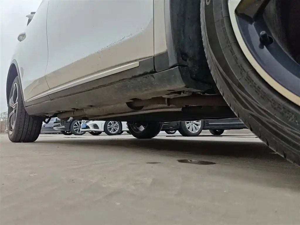 BYD Tang New Energy 2021 DM-i 112KM Honor фото 19