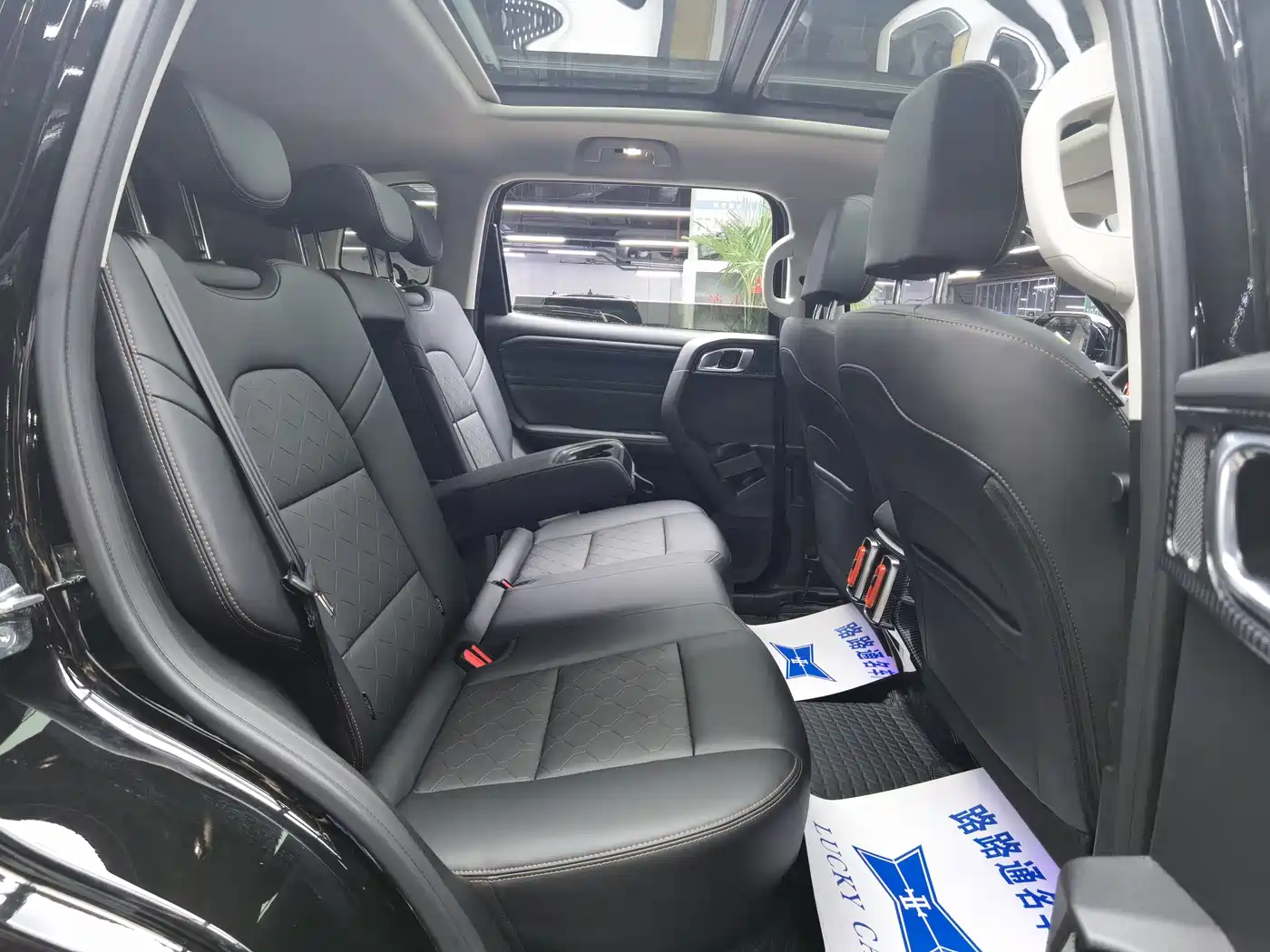 Haval Big Dog 2024 1.5T DCT Border Collie Edition фото 9