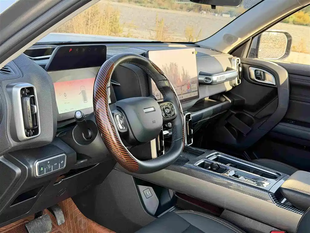 Photo 11 - Haval Dargo