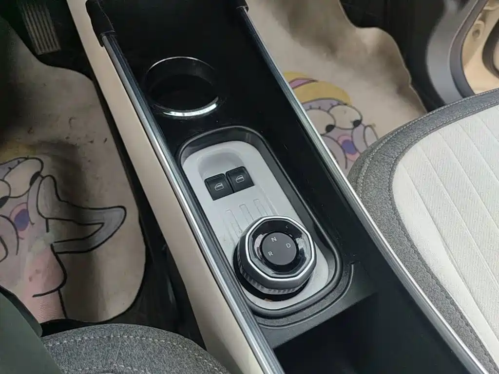 Geely Galaxy Panda 2025 2025 Panda mini 210km Vitality Bear
