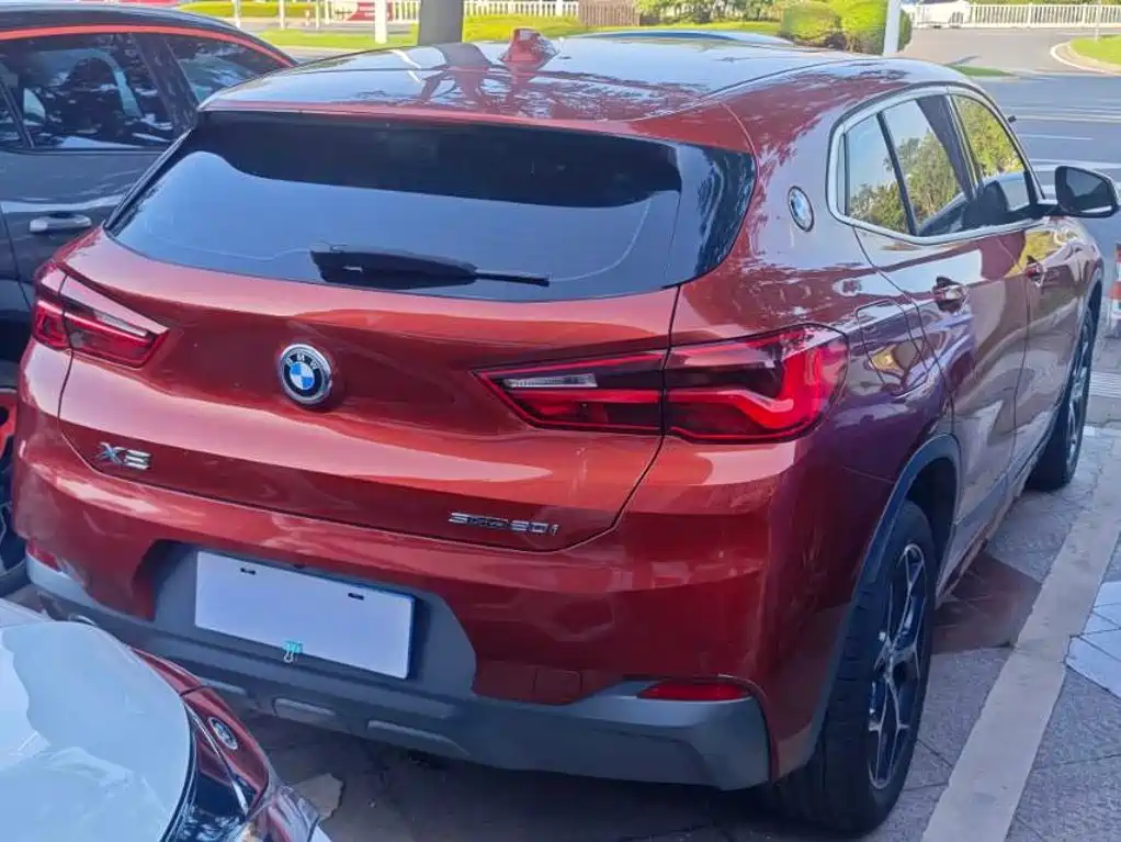 BMW X2 (Import) 2019 2019 sDrive20i M Off-Road Package China VI
