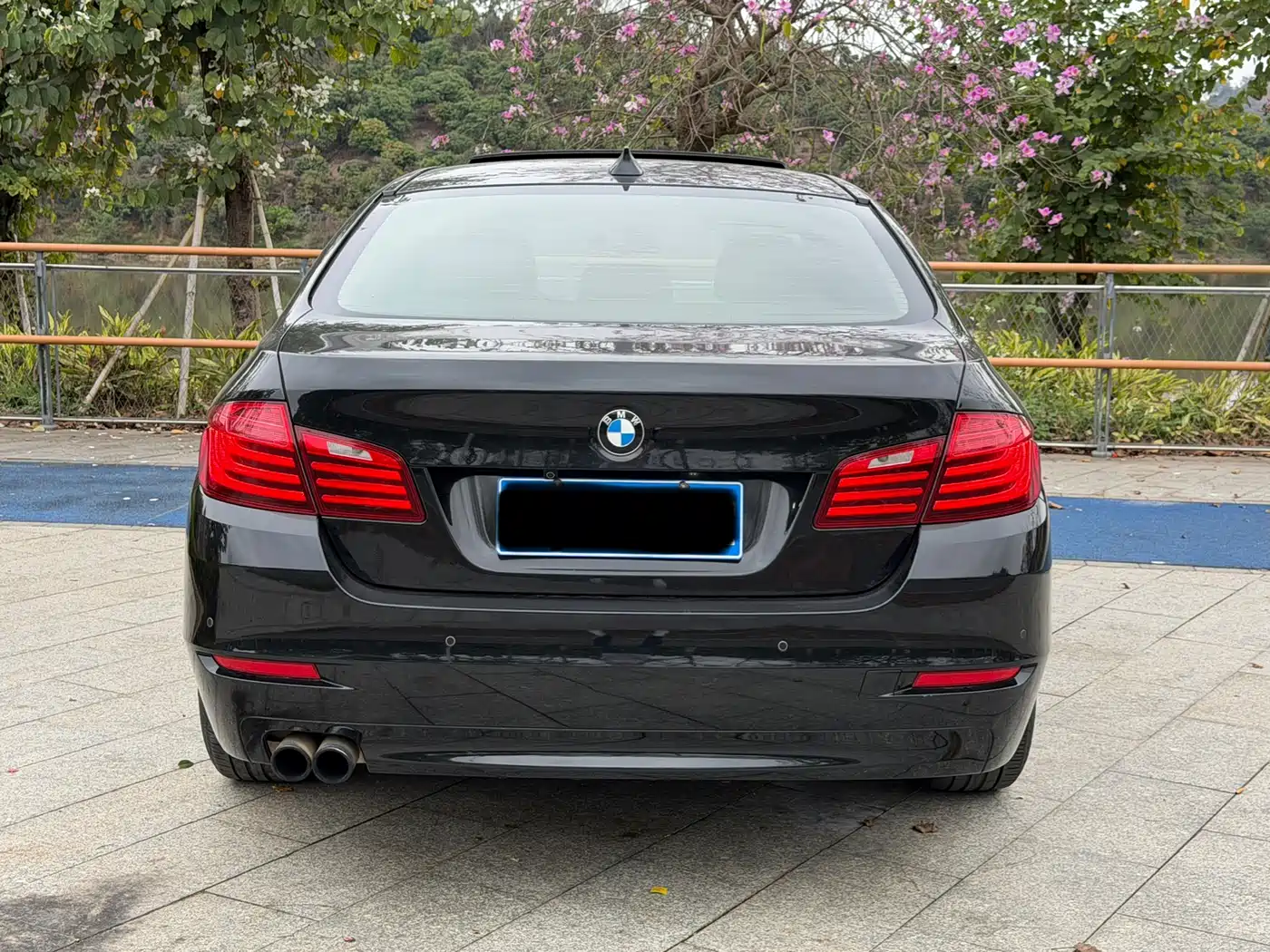 BMW 5 Series 2014 525Li Leading фото 8