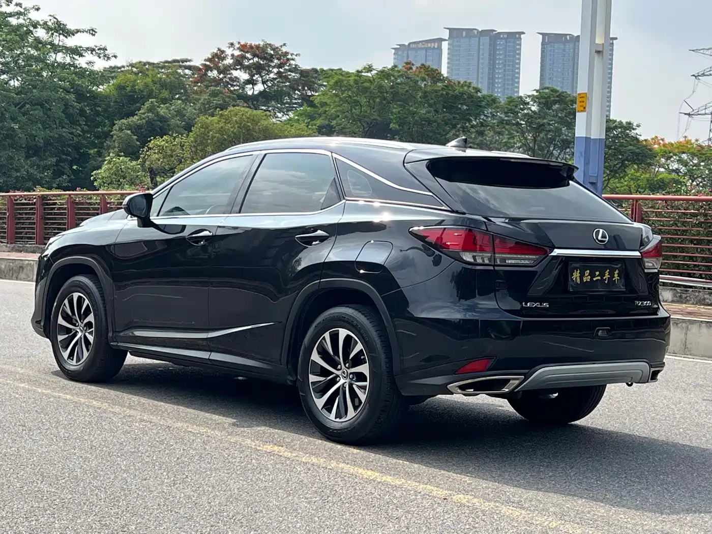 LEXUS RX