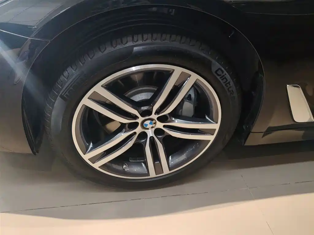 BMW 5 Series 2023 530Li Leading Luxury Package фото 25