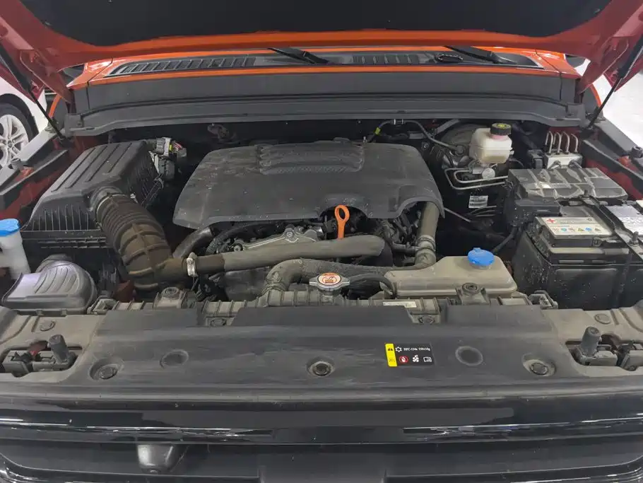 Tank 300 2021 2021 Off-road Edition 2.0T Challenger
