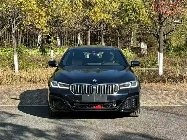 BMW 5 Series 2022 530Li Leading Luxury Package фото 2