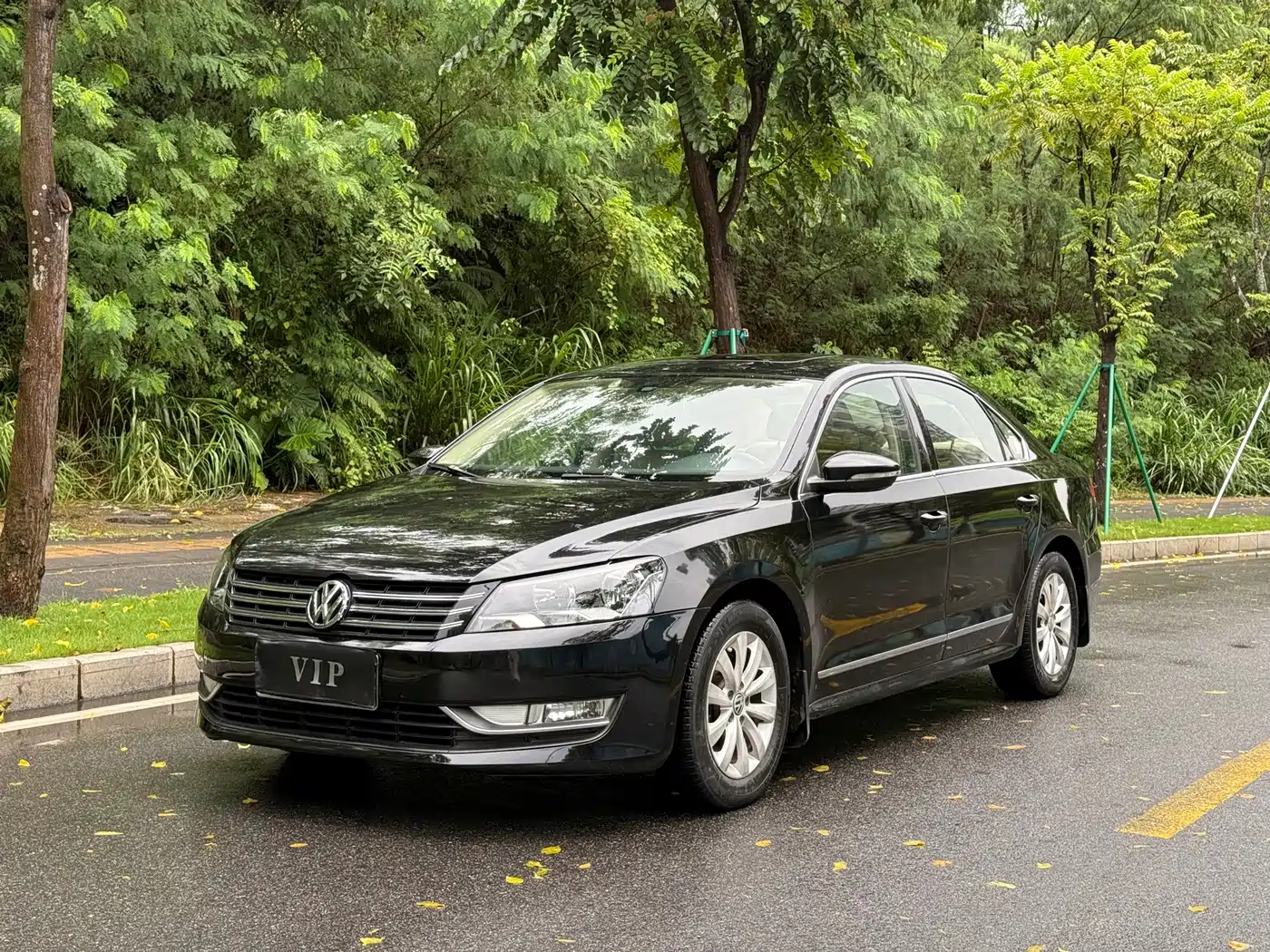 Фото 1 - Volkswagen Passat