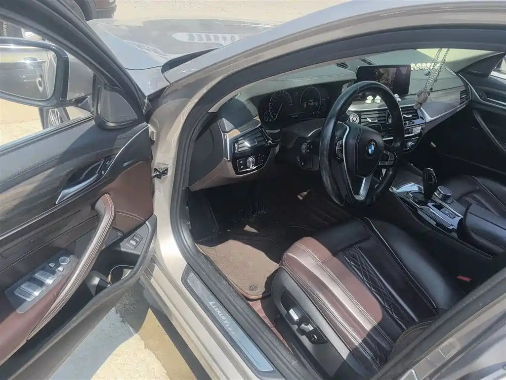 BMW 5 Series 2019 530Li Premium Luxury Package фото 12