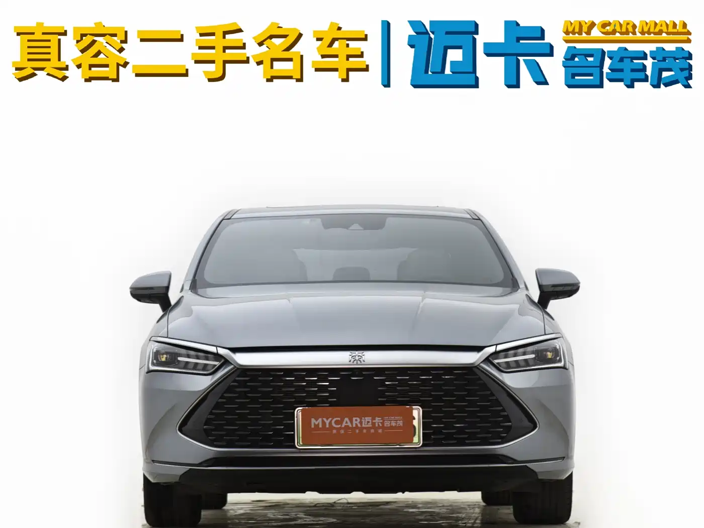 BYD Qin PLUS 2023 Champion Edition DM-i 120KM Excellence фото 3