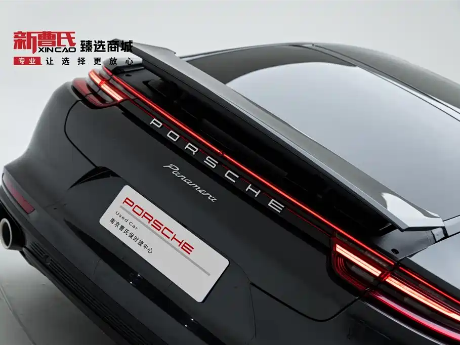 Porsche Panamera 2020 Panamera 10th Anniversary Edition 2.9T фото 5