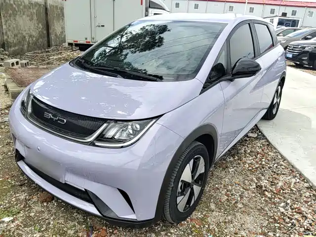 BYD Dolphin 420km, Свобода