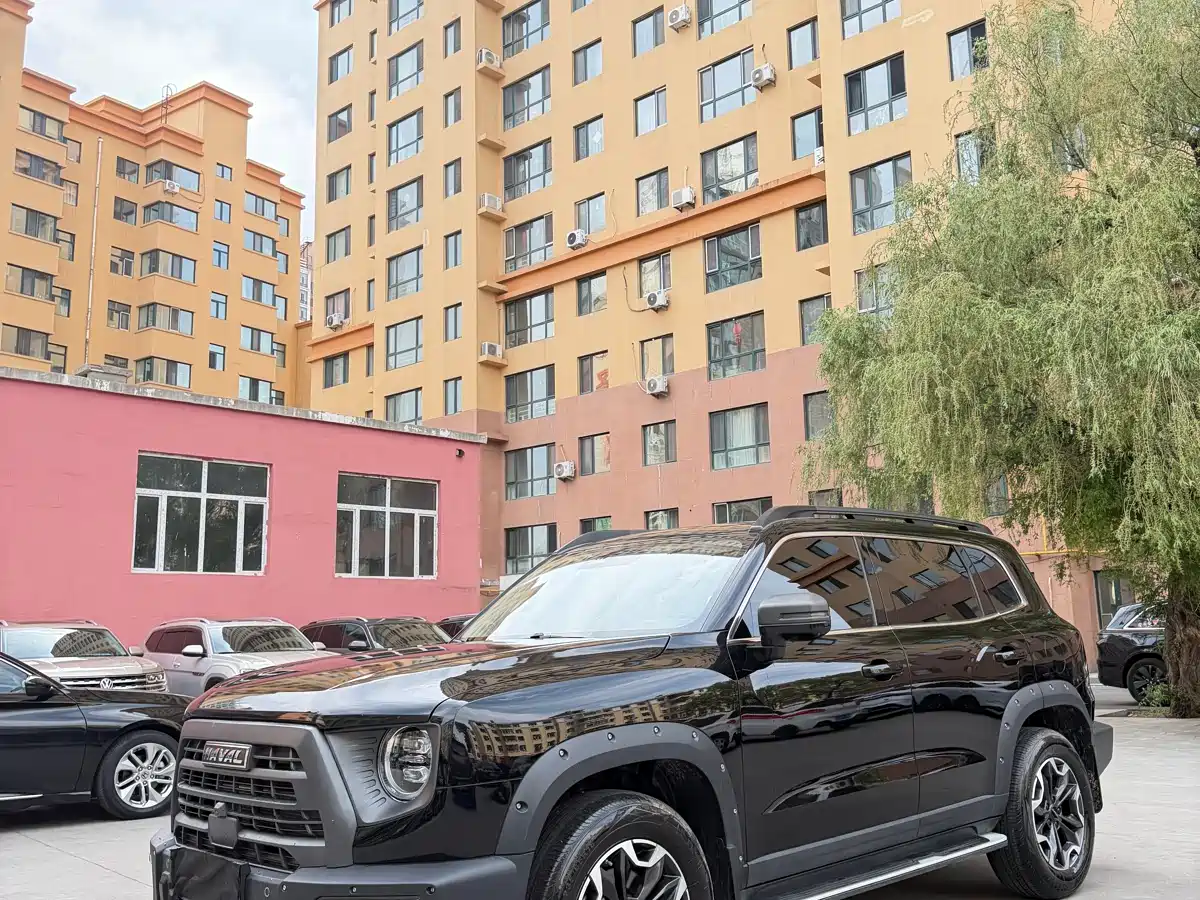 Haval Big Dog 2022 2.0T DCT 4WD Chinese Rural Dog Hunting Edition