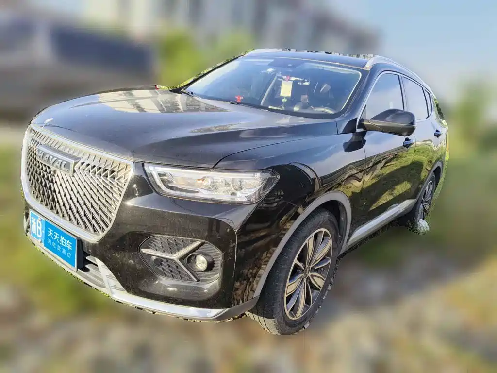 Фото 1 - Haval H6