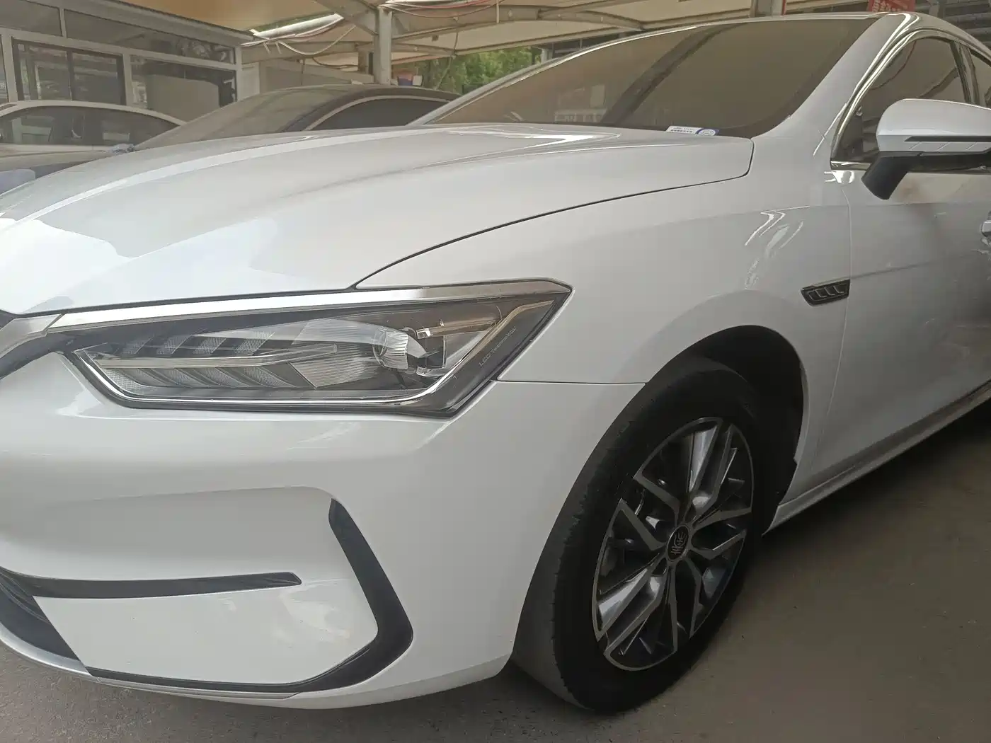 BYD Qin PLUS 2025 EV 510KM Smooth Ride Edition фото 3