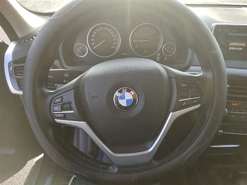 BMW X5 (Import) 2017 xDrive28i фото 11
