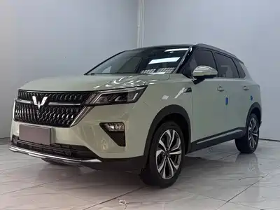 Wuling Asta