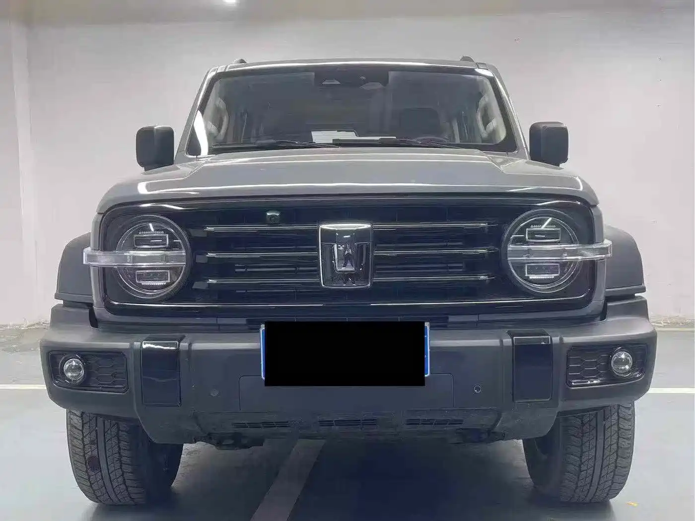 Tank 300 2025 2024 Model 2.0T Challenger