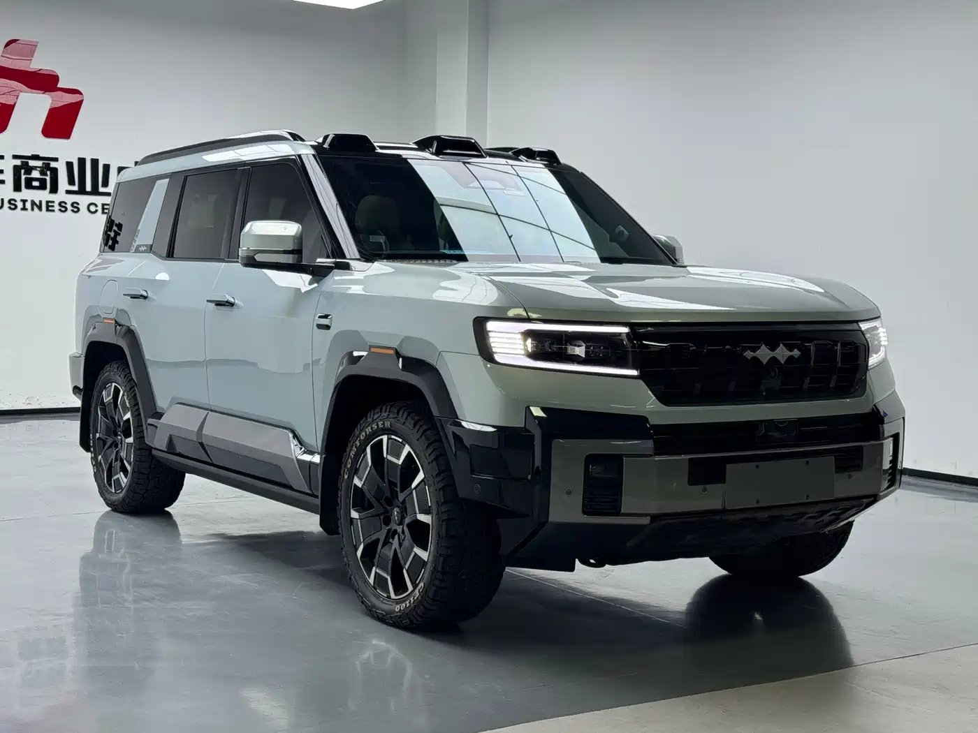 FANG CHENG BAO LEOPARD 8