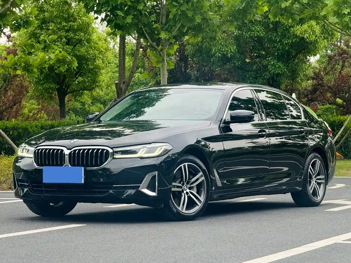 BMW 5 Series 2022 530Li Leading Luxury Package