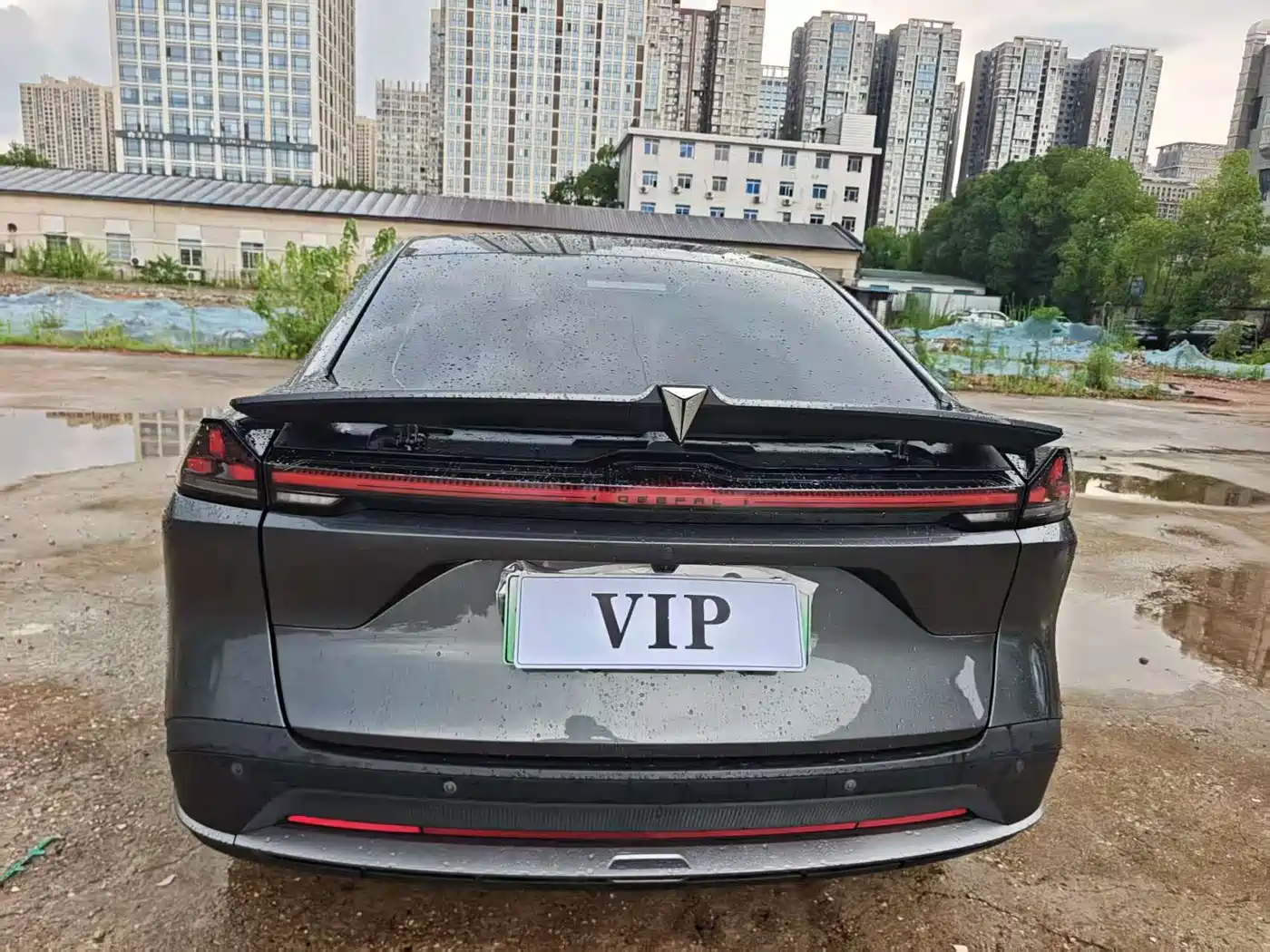 Deepal Shenlan L07 2025 2024 230Max Extended Range