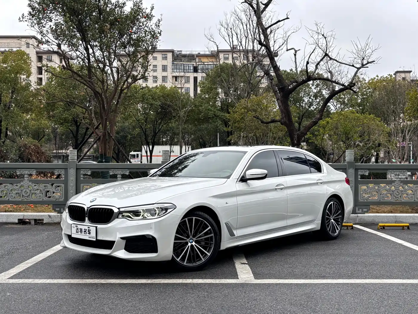 BMW 5 Series 2020 530Li Exclusive M Sport Package
