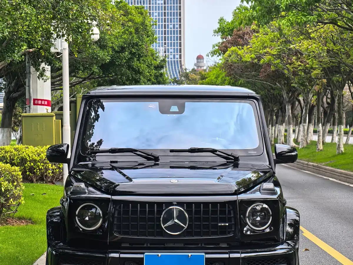 Mercedes-Benz G-Class AMG 2019 AMG G 63 фото 2
