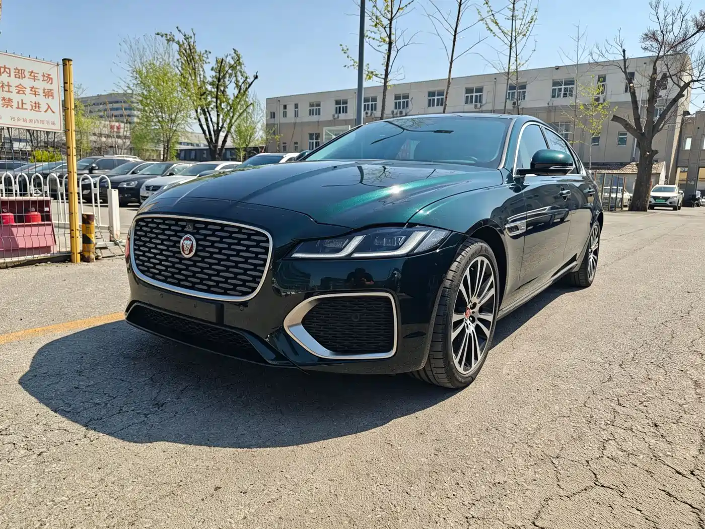 JAGUAR XFL