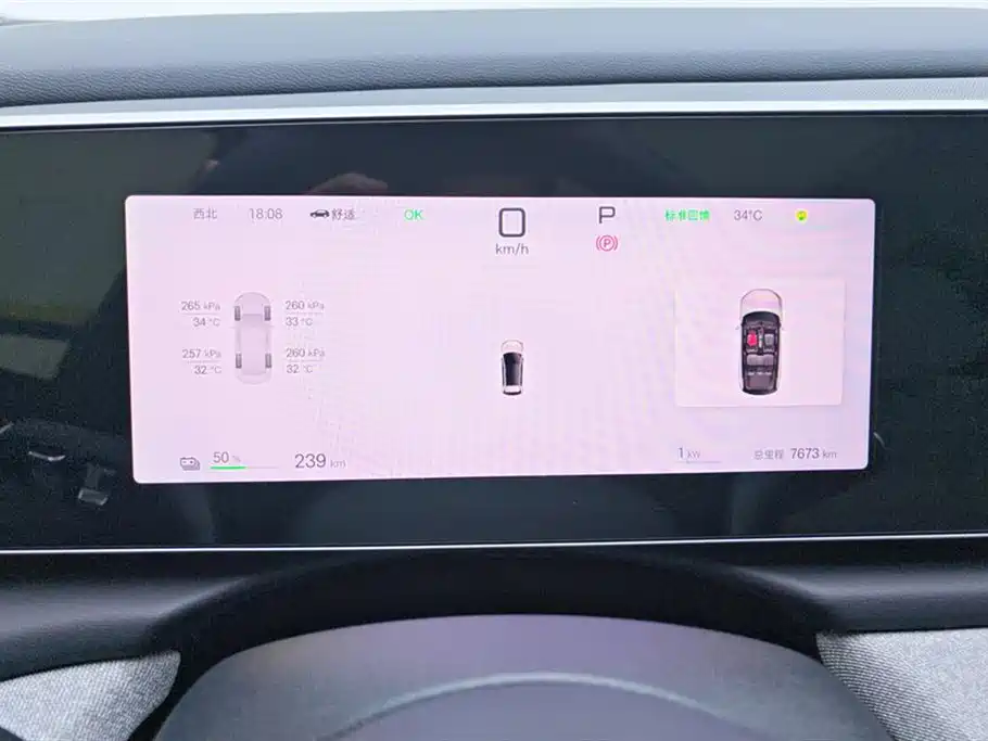 BYD Hai Shi 05 EV 2025 520KM Smart Navigation Edition фото 14