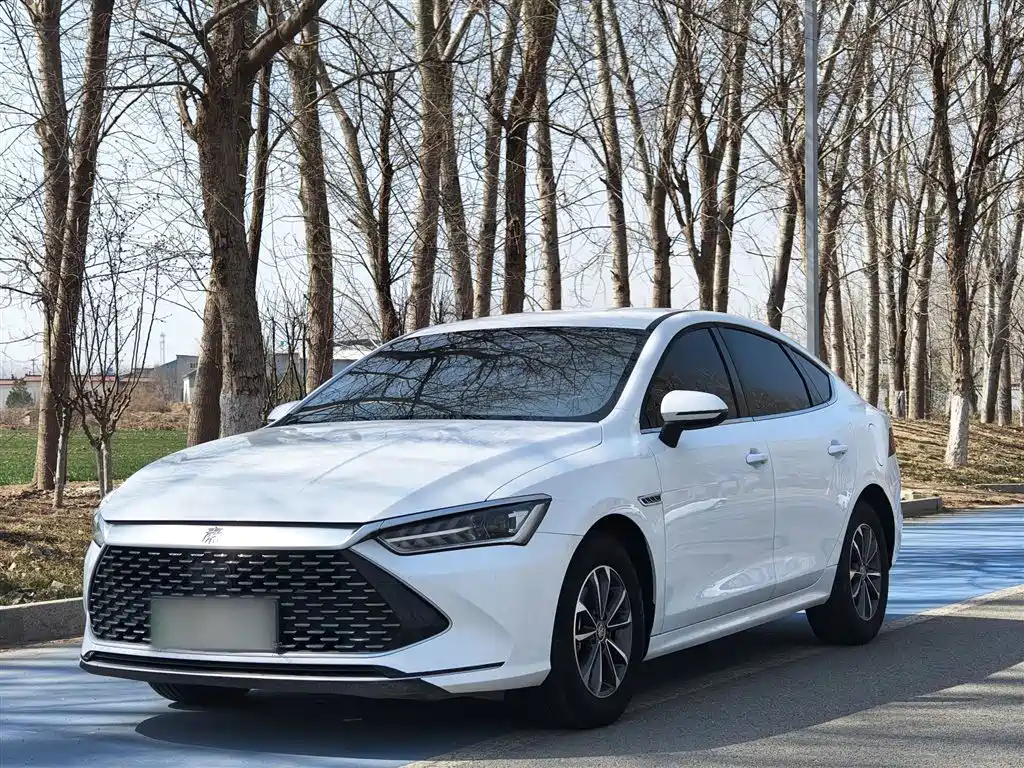 BYD Qin PLUS 2024 Glory Edition DM-i 55KM Leading