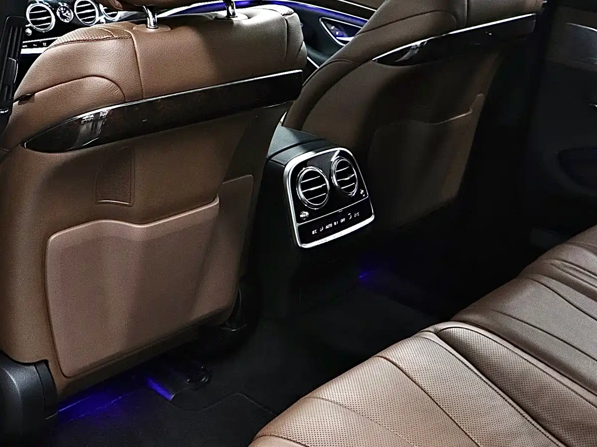 Mercedes-Benz S-Class 2020 S 350 L Premium Edition Collector's Version фото 13