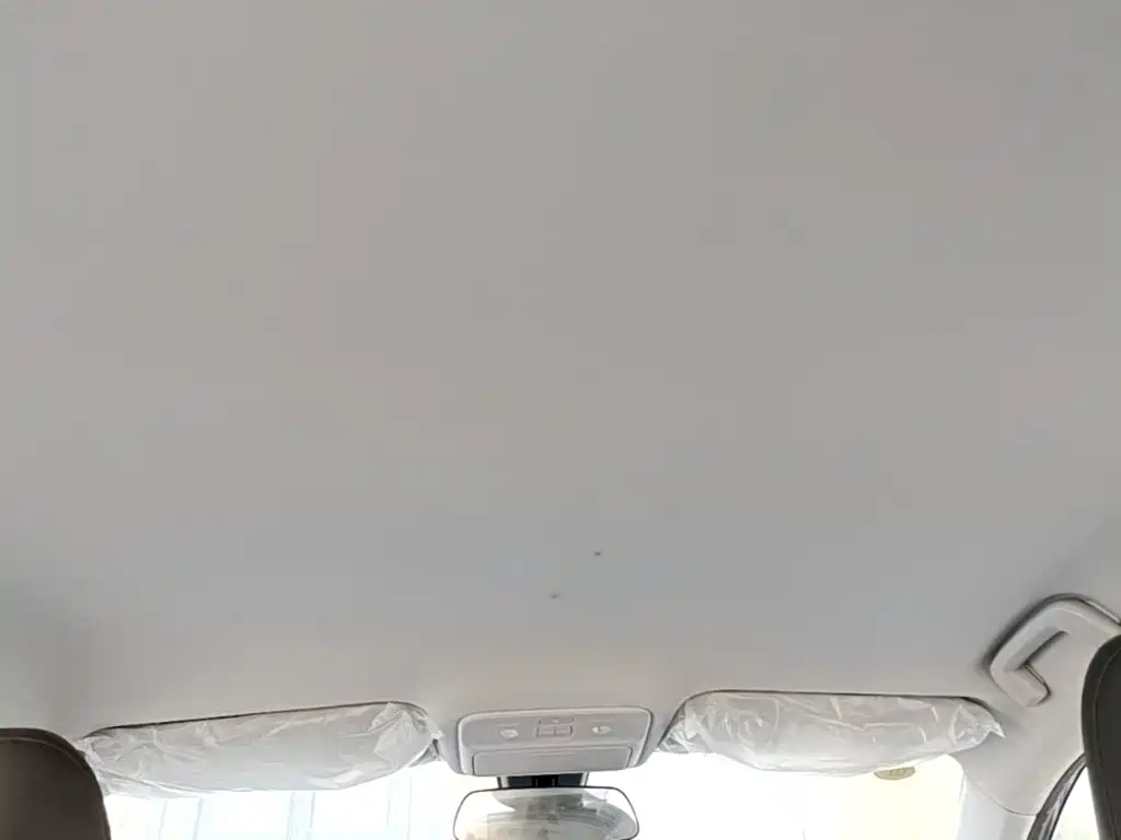 Wuling Motors Wuling Xingguang 2026 2025 70km Smart Standard