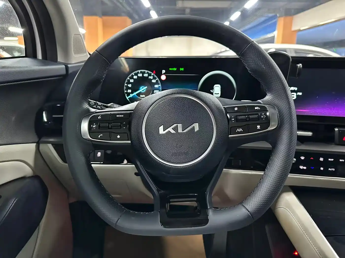 KIA LION PLATINUM EXPANDS THE WORLD