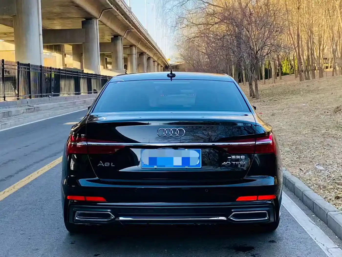 Audi A6L 2019 40 TFSI Luxury Dynamic фото 5