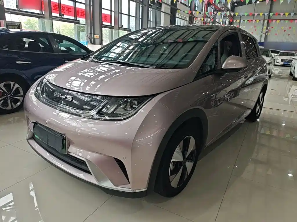 Фото 1 - BYD Dolphin