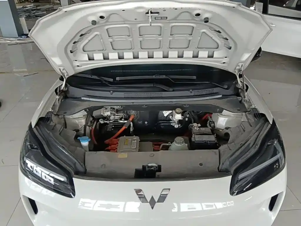 Фото 20 - Wuling Motors Wuling Binguo PLUS