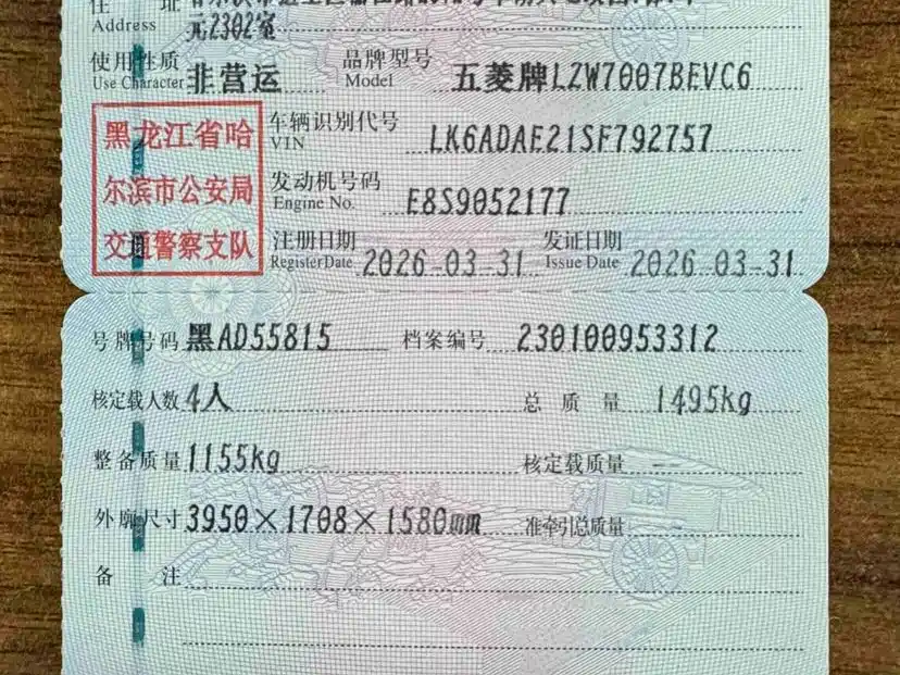 Wuling Motors Wuling Bingo 2026 2025 Model 333km Joy Edition