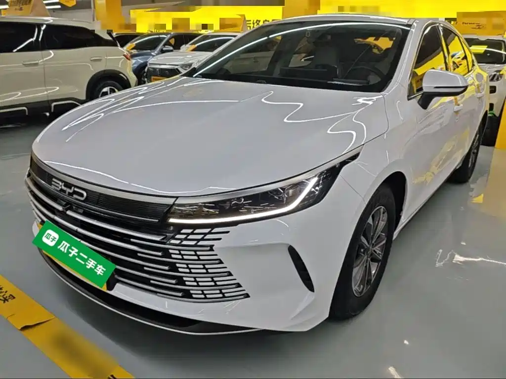 BYD Destroyer 05 2024 Glory Edition DM-i 55KM Luxury фото 2
