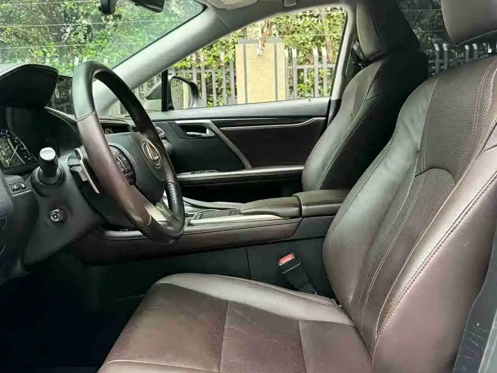 Lexus RX 2020 300 AWD F SPORT (China VI) фото 9
